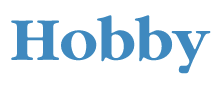 Logo Hobby en color